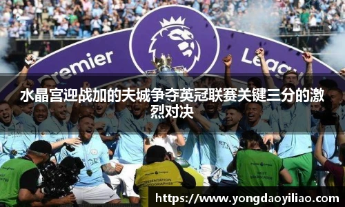 水晶宫迎战加的夫城争夺英冠联赛关键三分的激烈对决