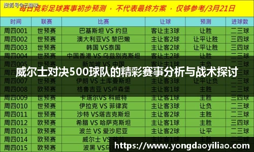威尔士对决500球队的精彩赛事分析与战术探讨